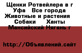 Щенки Ротвейлера в г.Уфа - Все города Животные и растения » Собаки   . Ханты-Мансийский,Нягань г.